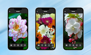 Picture Flowers and Roses Screenshot 1