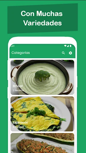 Recetas Saludables Online Screenshot 2
