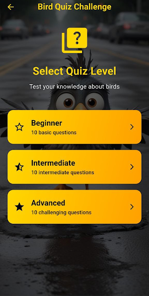Platincasino Screenshot 1