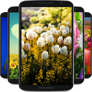 flower wallpaper Screenshot 0