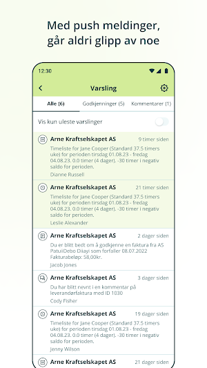 Eika Regnskap Screenshot 3