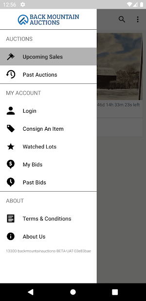 Bid on it Live Screenshot 3