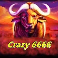 Crazy 6666