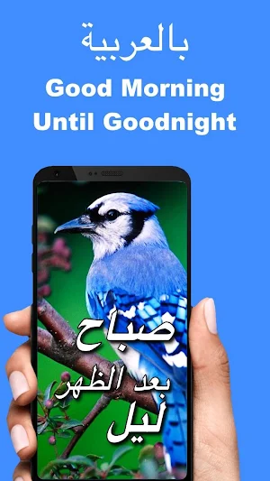 Arabic Good Morning Afternoon & Good Night Wishes Screenshot 0
