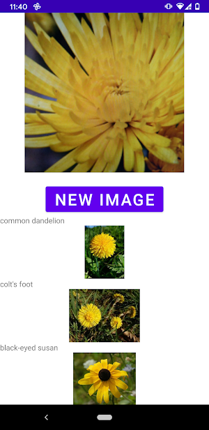 Flower identifier Screenshot 1