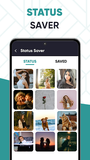 All Movie & Video Downloader Screenshot 3