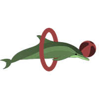 Leerpaden