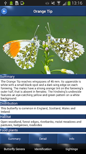 Butterfly Id - British Isles Screenshot 3