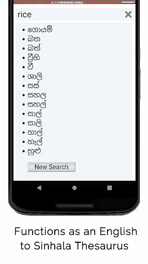 English to Sinhala Translation Screenshot 1