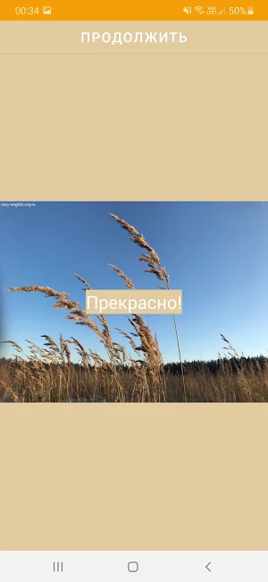 Игра по непр. глаг. Fun select Screenshot 0