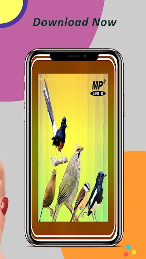 Kicau Burung Lengkap Offline Screenshot 3