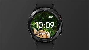 Forest Castle - Watch Face Screenshot 2