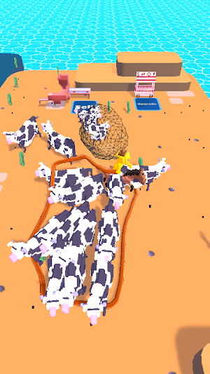 Animal Catch Screenshot 1