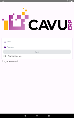 CAVU ERP Screenshot 3
