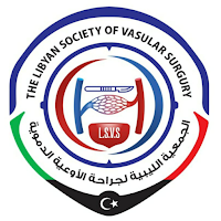 LSVS