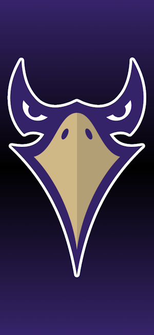 Holly Springs Golden Hawks Screenshot 0