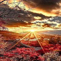 sun image _ sun wallpaper