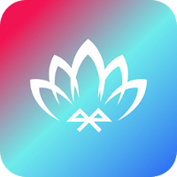 宝莲灯控Pro