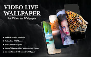 Video live wallpaper Set Video Screenshot 0