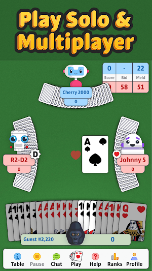 Double Deck Pinochle ‣ Screenshot 0