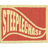 STEEPLECHASE Racing Game Stimu
