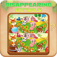Disappearing Details
