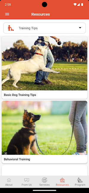 Echo Dogs Training Screenshot 3