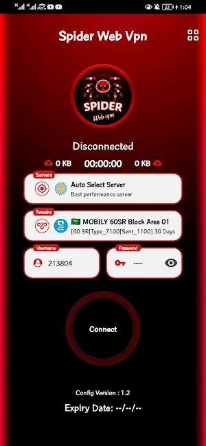 Spider Web Vpn Screenshot 2