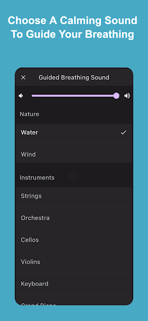 Pocket Breath Coach Screenshot 2