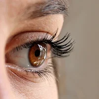 Eyelash - Lashes