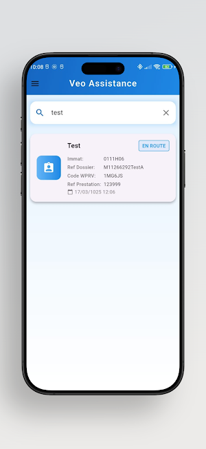 Veo Assistance Screenshot 2