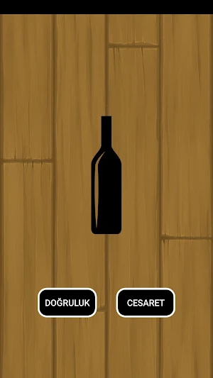 Şişe Çevirmece Screenshot 0