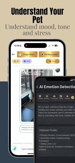 Pawnetwork: Smart Pet Care Screenshot 2