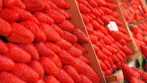 Strawberry Wallpapers 2 Screenshot 0