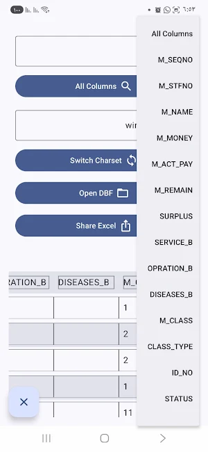 DBF Reader Screenshot 3