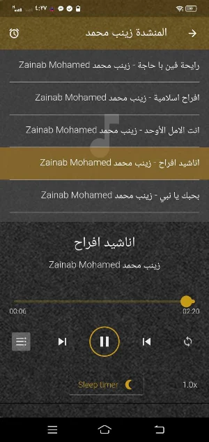 المنشدة زينب محمد MP3 بدون نت Screenshot 0