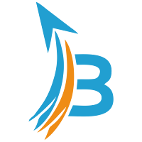 Bidride