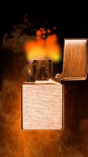 Bronze Zippo Lighter Screenshot 2