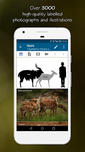 Stuarts' Southern African Mammals 5th Ed Screenshot 1