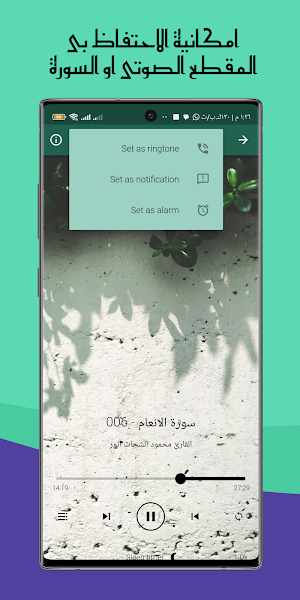 القران محمود الشحات انور بدونت Screenshot 3