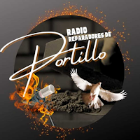 Los Reparadores de portillo