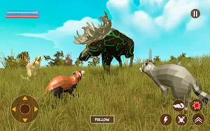 Reccoon Game Wildlife Animals Screenshot 2