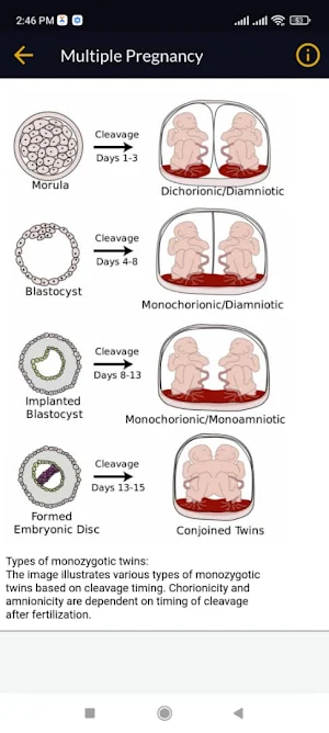 Obstetrics Screenshot 3