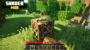 Realistic Shader Mod Screenshot 0