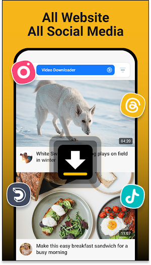 All Social Video Downloader Screenshot 1