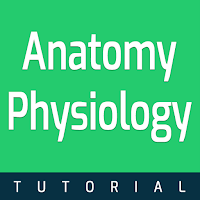 Anatomy and Physiology