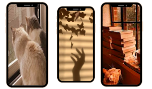 Brown Aesthetic Wallpapers HD Screenshot 1