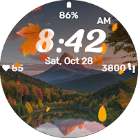Autumn Falling Leaves