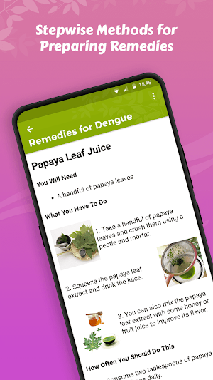 Home remedies for dengue Screenshot 2