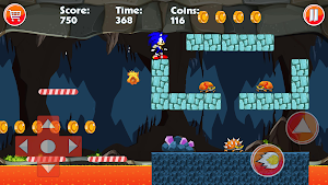 Blue Hedgehog Dash Runner Rush Screenshot 3